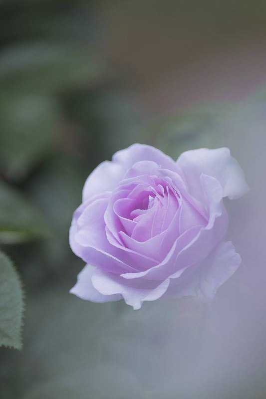 我们常常会因为无法被另外一个人所理解而非常生气，这份生气底下其实也是一种恐惧，那就是我们恐惧意识到他人与我们是分离的，我们本质上是孤独的，我们的一些体验是永远无法全然地被另外一个人所理解的